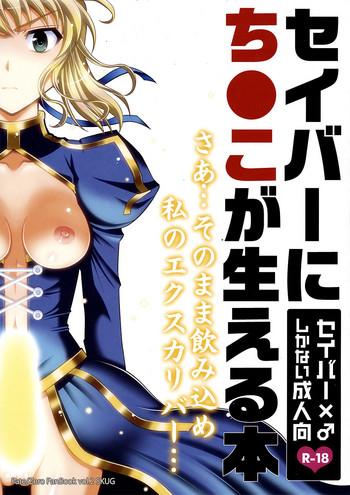 saber ni chinko ga haeru hon cover 1