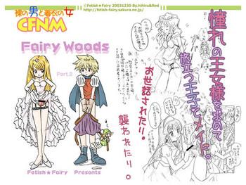 fairy woods 2 cover