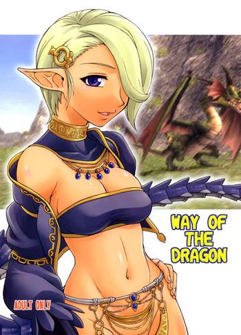 way of the dragon cover