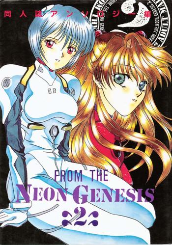 from the neon genesis 02 cover
