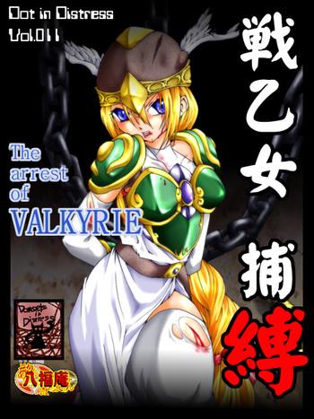 the arrest of valkyrie cover