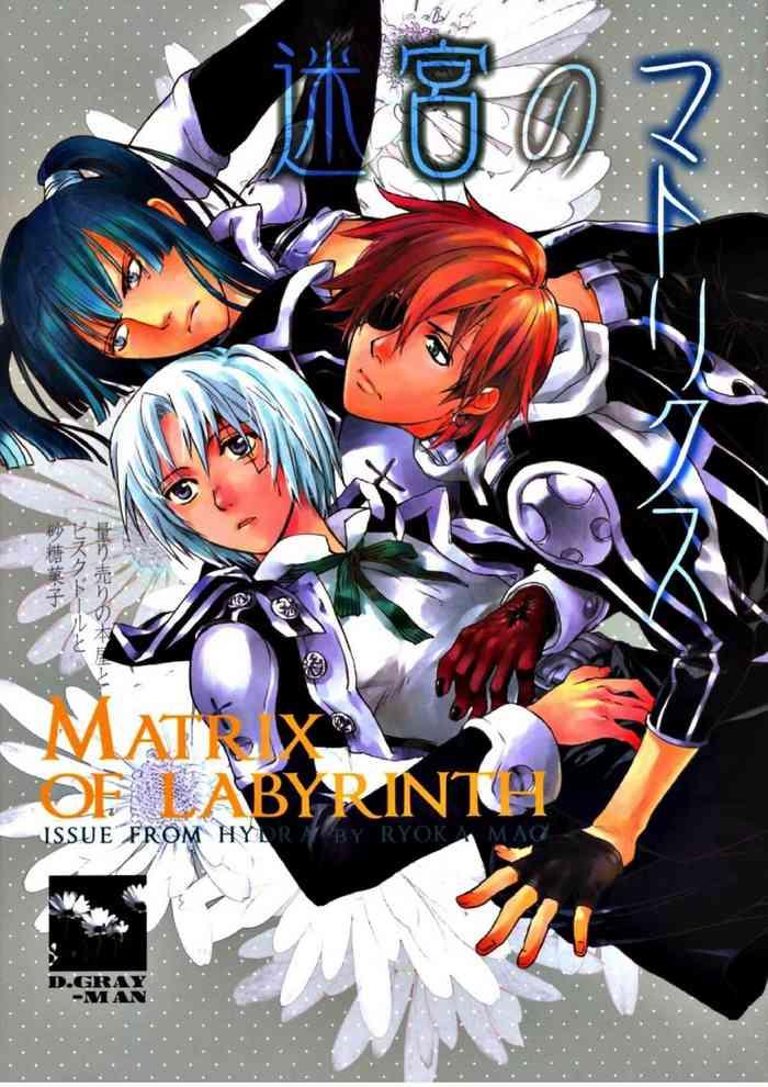 meikyuu no matrix cover