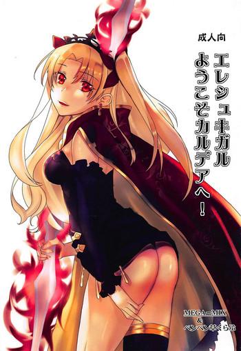 ereshkigal youkoso chaldea e cover