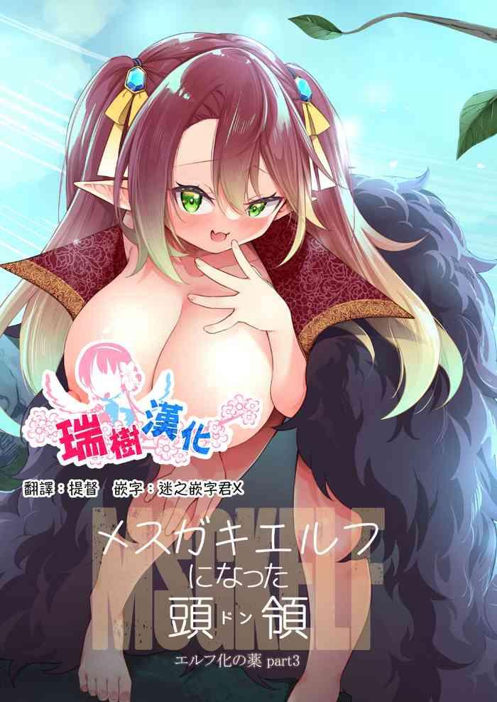 mesugaki elf ni natta don elf ka no kusuri part 3 part3 cover