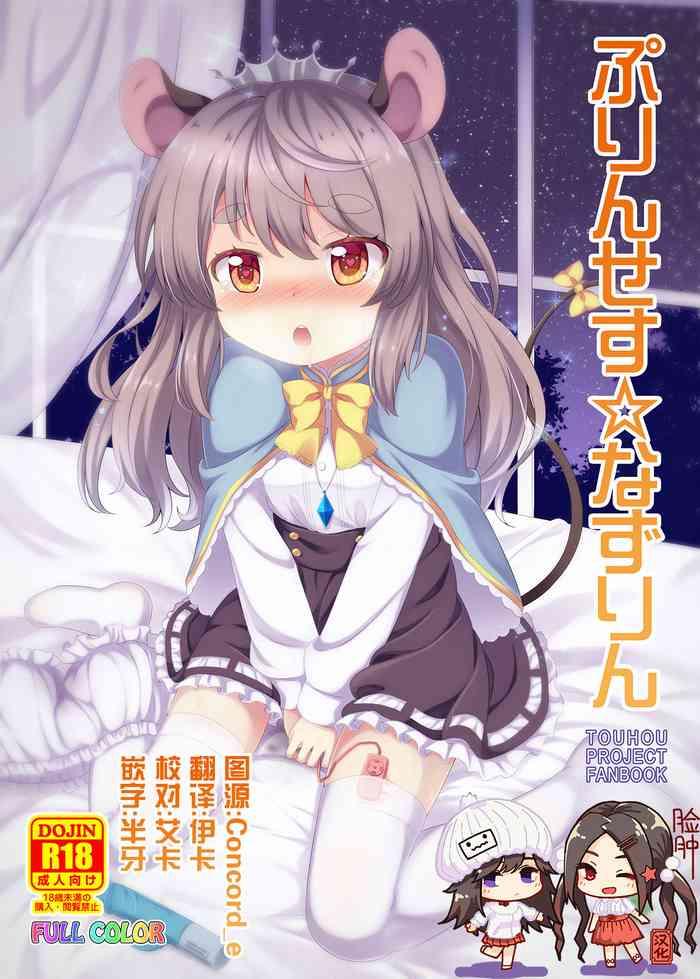 princess nazrin cover