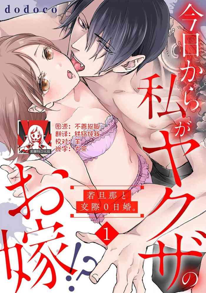 dodoco kyou kara watashi ga yakuza no oyome wakadanna to kousai 0 nichi kon vol 1 6 chinese cover