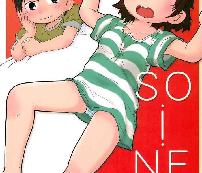 so i ne cover