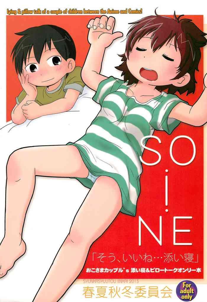 so i ne cover