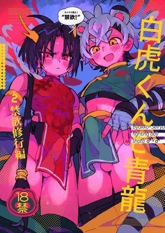 byakko kun to seiryuu 2 cover